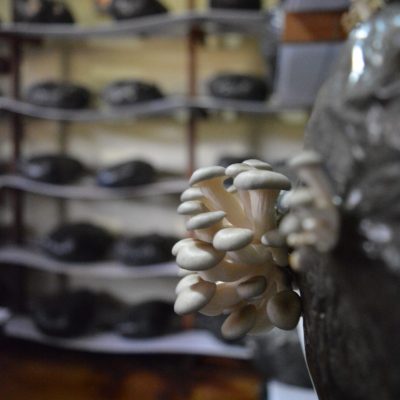 aaaDSC_0758